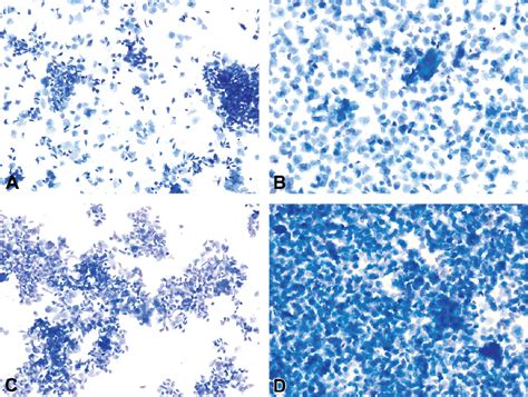 Vaginal Cytology of the Laboratory Rat and Mouse: